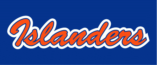 New York Islanders 2008-2017 Wordmark Logo iron on transfers for fabric